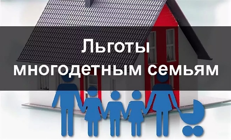 Многодетным семьям предоставят льготы по имущественным налогам.