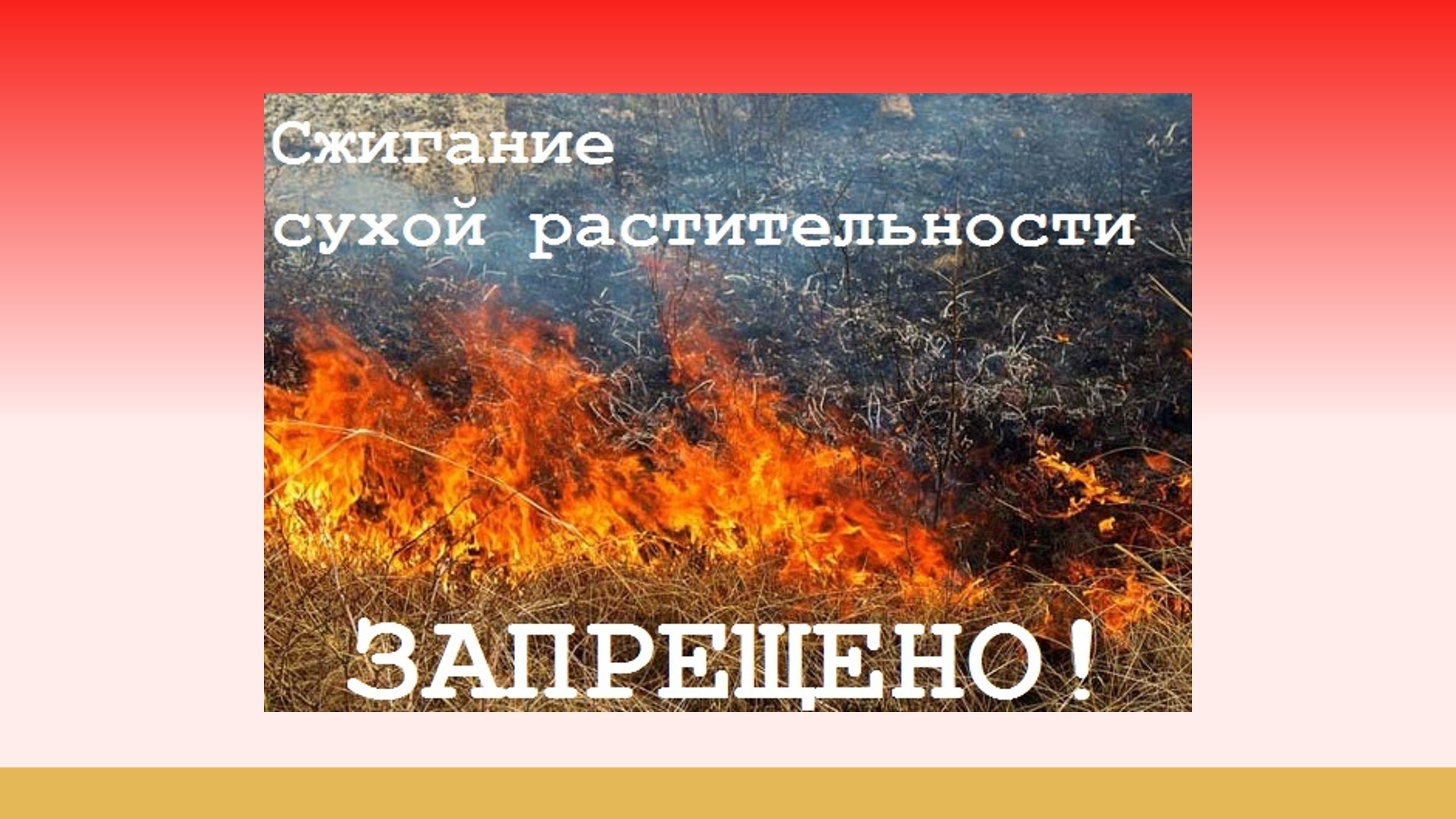 Мероприятия по профилактике и предупреждению выжигания сухой травянистой растительности.