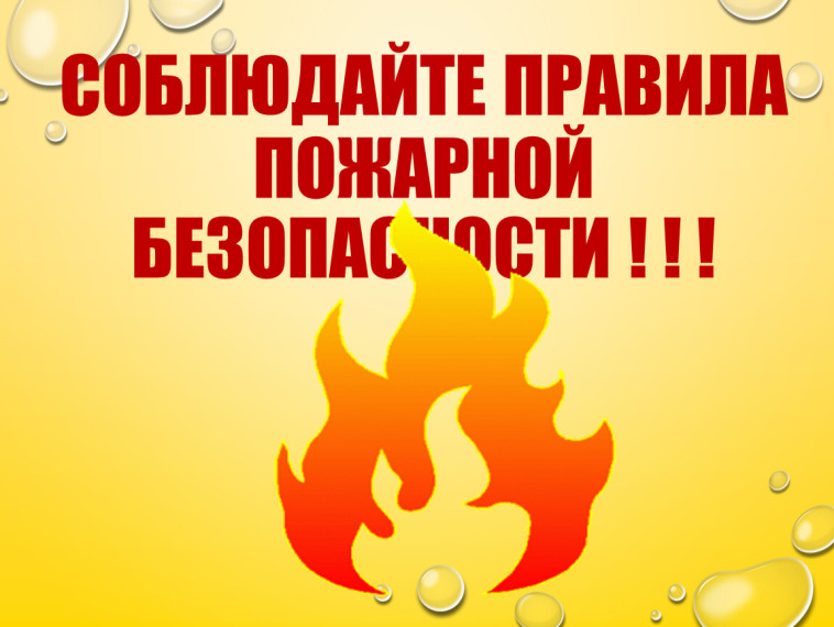 Пожарная безопасность в быту. Пожарная безопасность в быту.